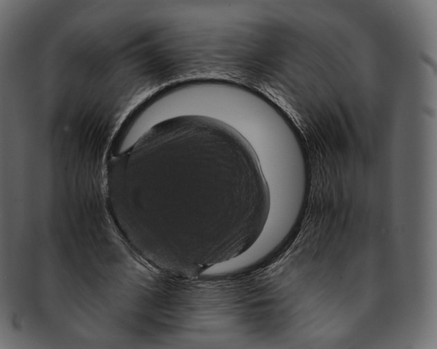 X0000091940584200710031119