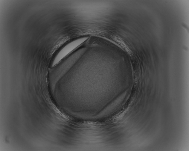 X0000091940585200710031119