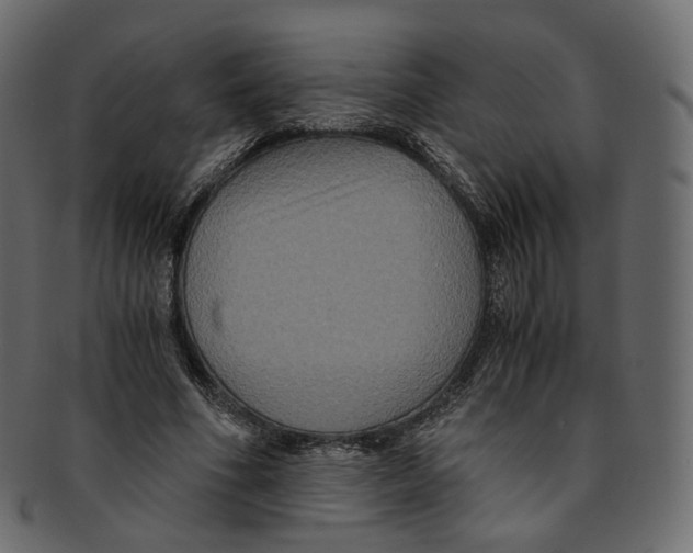 X0000091940586200710031119