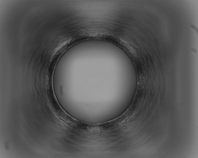 X0000091940587200710031119