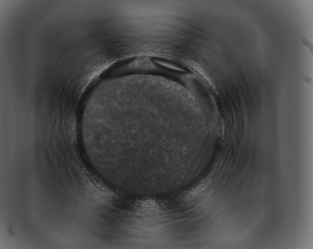 X0000091940588200710031119