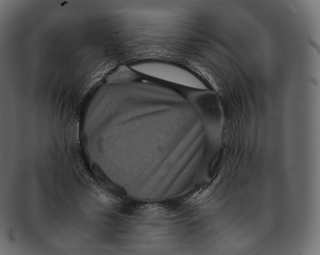 X0000091940589200710031119