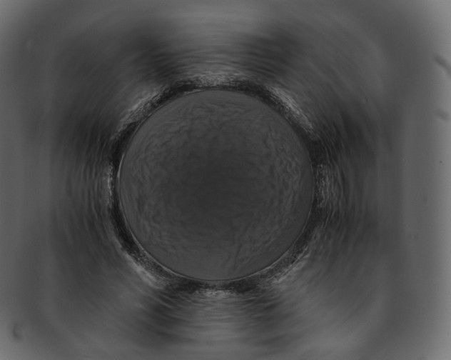 X0000091940590200710031119