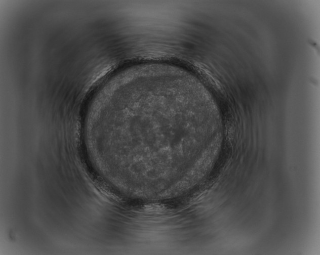 X0000091940591200710031119