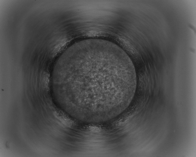 X0000091940592200710031119