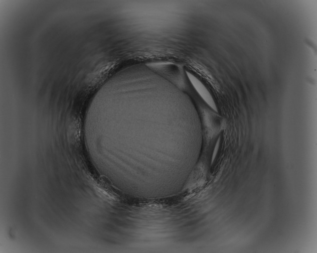 X0000091940593200710031119