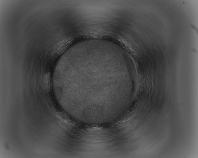 X0000091940594200710031119