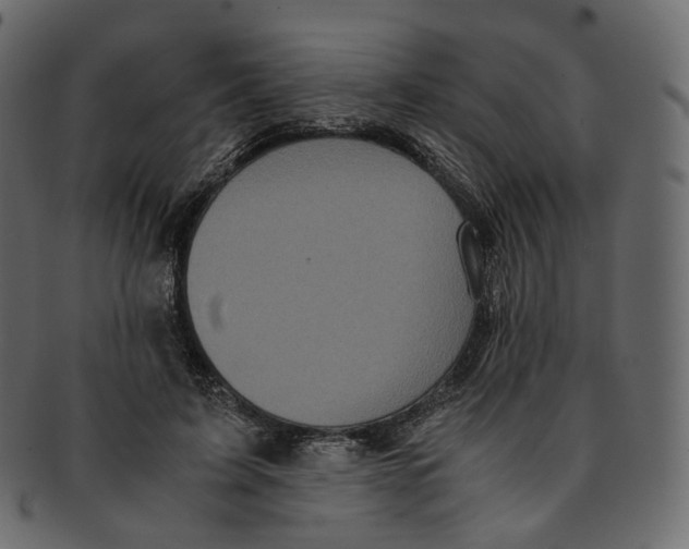 X0000091940595200710031119