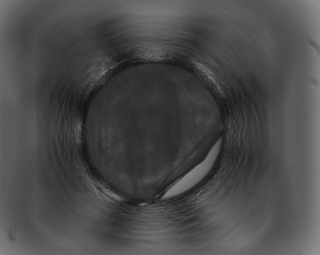 X0000091940596200710031119