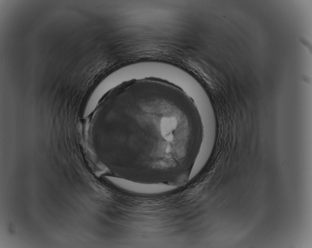 X0000091940597200710031119