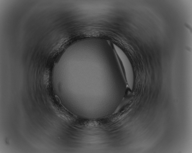 X0000091940600200710031119