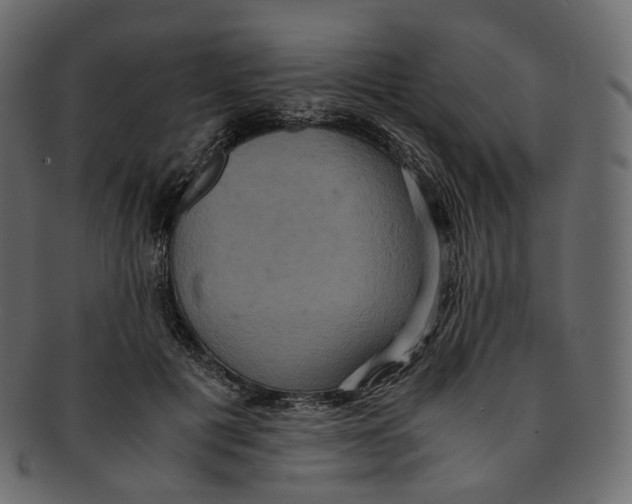 X0000091940601200710031119