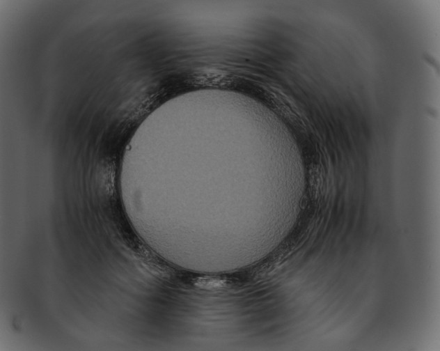 X0000091940602200710031119