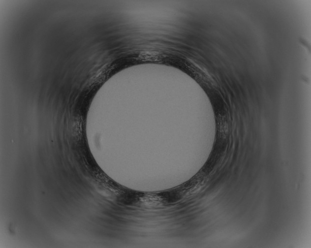 X0000091940603200710031119