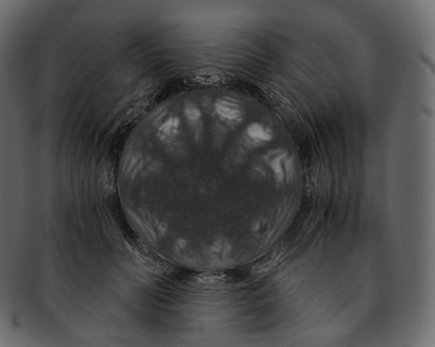 X0000091940606200710031119