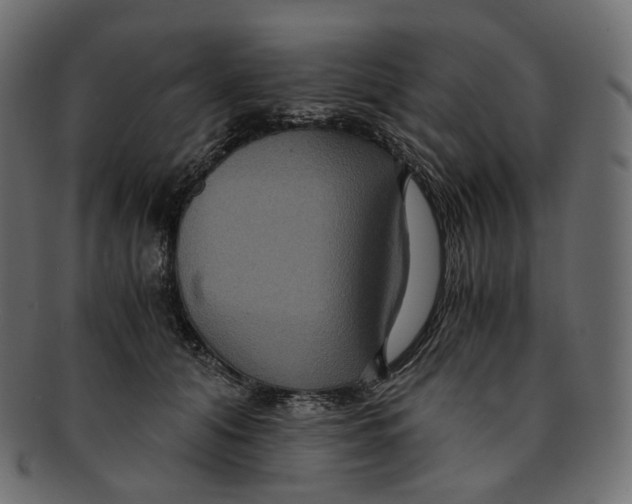 X0000091940608200710031119