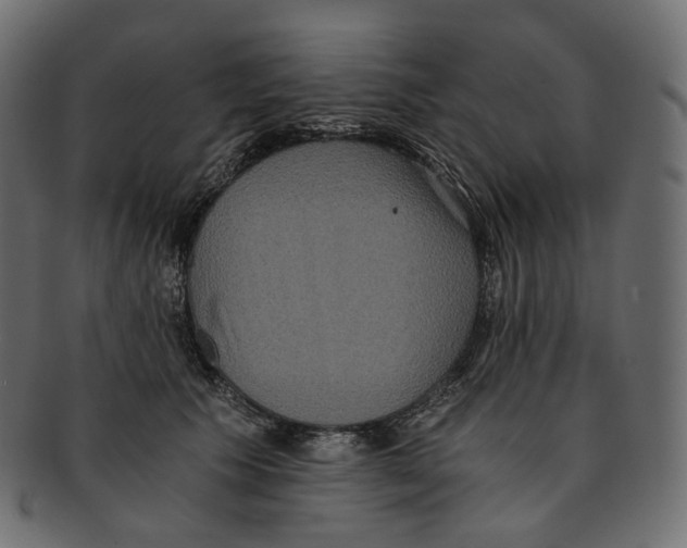 X0000091940609200710031119