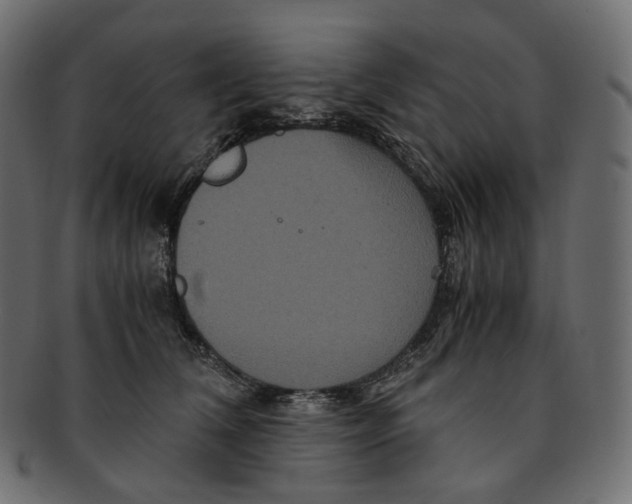 X0000091940612200710031119