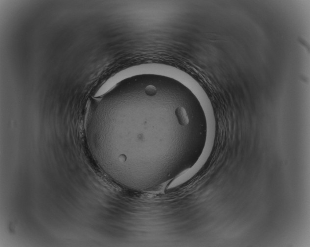 X0000091940613200710031119