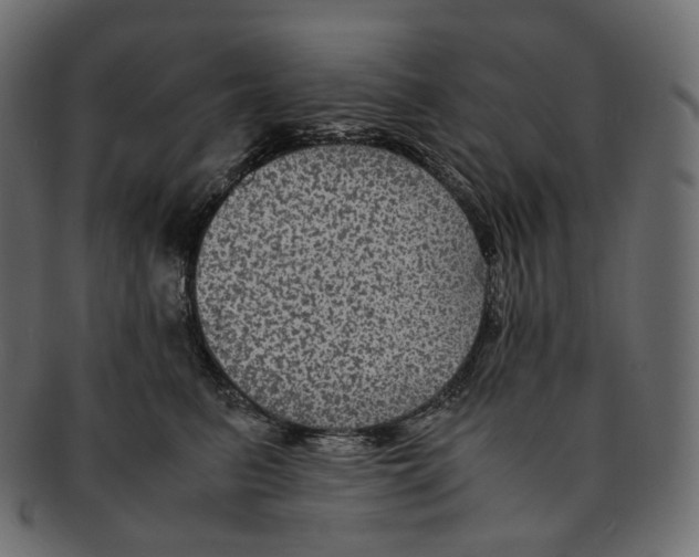 X0000091940615200710031119