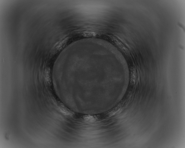 X0000091940616200710031119