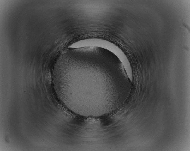 X0000091940617200710031119