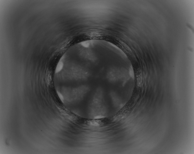 X0000091940618200710031119