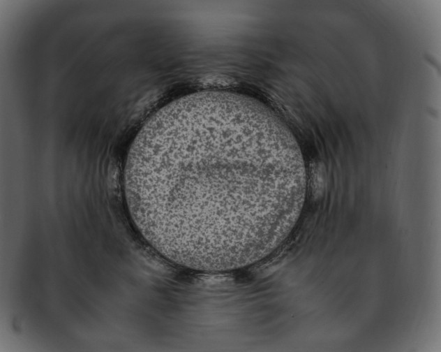 X0000091940619200710031119