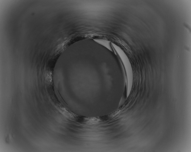 X0000091940621200710031119