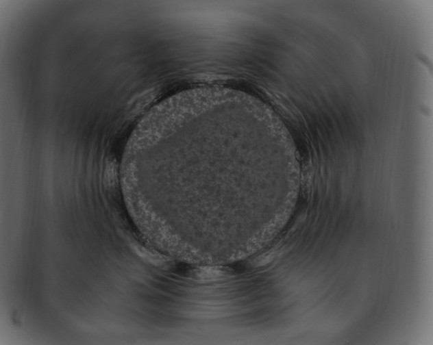 X0000091940623200710031119