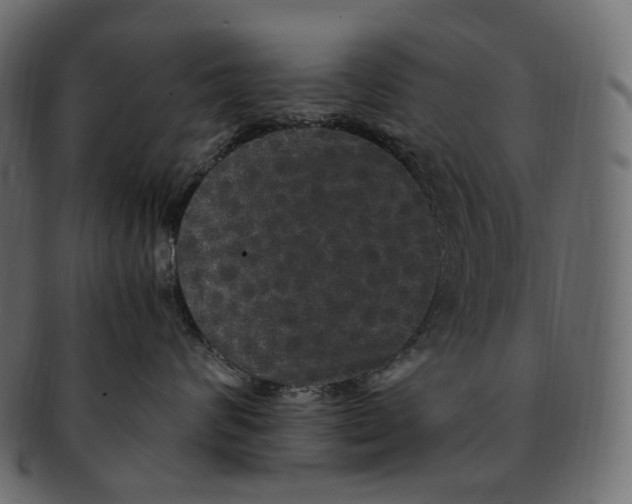 X0000091940624200710031119