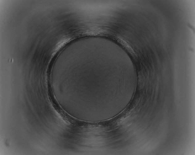 X0000091940626200710031118