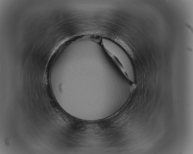 X0000091940628200710031118