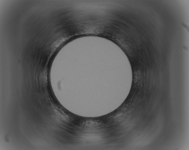 X0000091940632200710031118