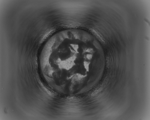 X0000091940634200710031118