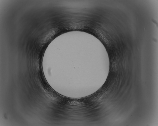 X0000091940635200710031118