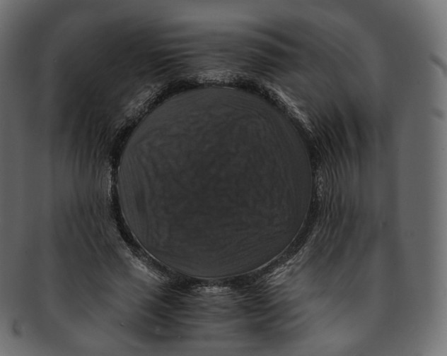 X0000091940637200710031118