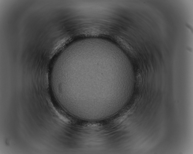 X0000091940638200710031118