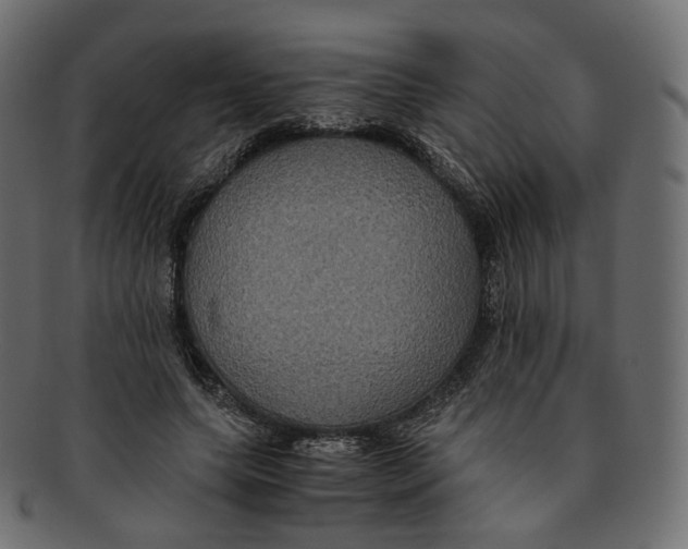 X0000091940639200710031118