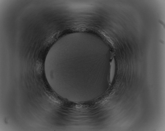 X0000091940641200710031118