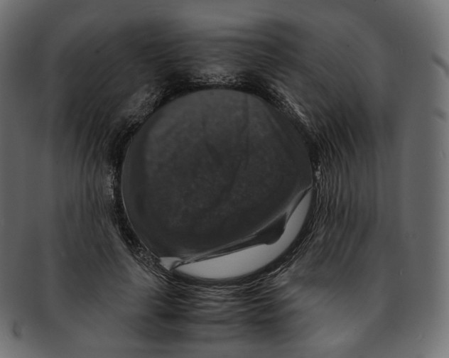 X0000091940643200710031118