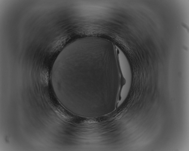 X0000091940644200710031118