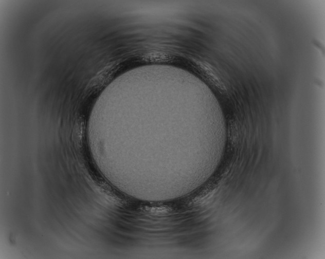 X0000091940645200710031118