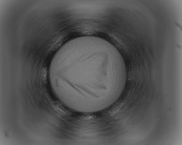 X0000091940646200710031118