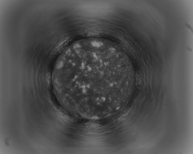 X0000091940648200710031118