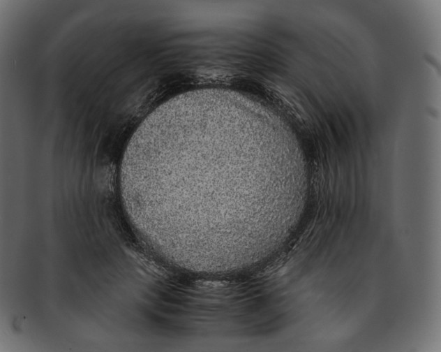 X0000091940649200710031118