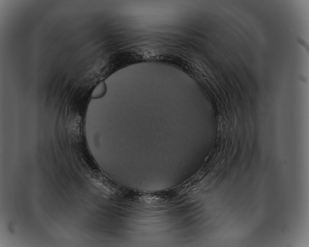 X0000091940650200710031118