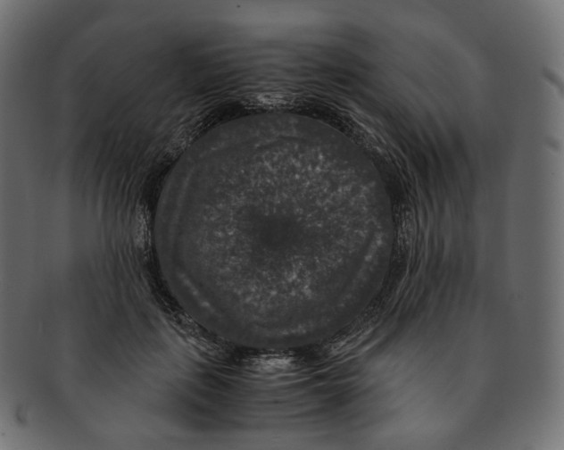 X0000091940651200710031118