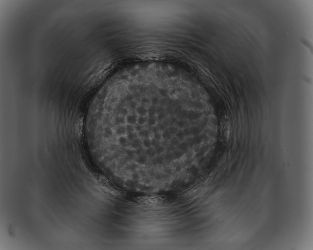 X0000091940652200710031118