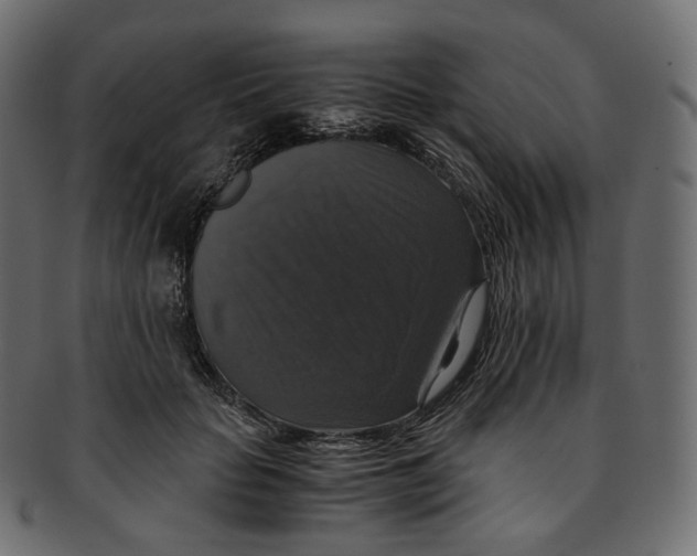 X0000091940653200710031118